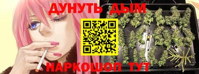 трава Краснознаменск